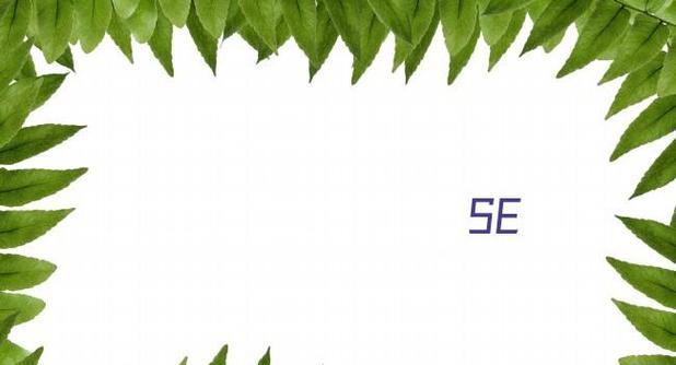SEO优化的方法(提高网站排名的有效策略) SEO优化的方法(提高网站排名的有效策略)
