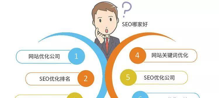 如何成为一名SEO优化新手（三个重要点让你快速掌握SEO技能）