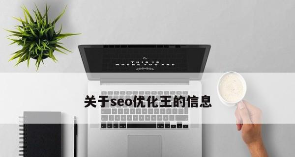 揭露搜索引擎优化的负面影响（如何避免黑帽SEO对网站的破坏）