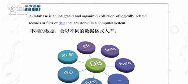 数据库的组成是什么？数据库的主要组成部分有哪些？