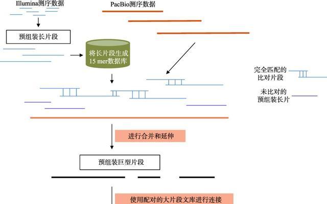 表达序列标签(EST)经常被用于绘制基因组的？