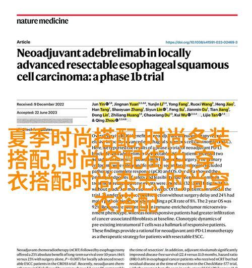 排名SEO优化平台有哪些特点? 排名SEO优化平台有哪些特点?