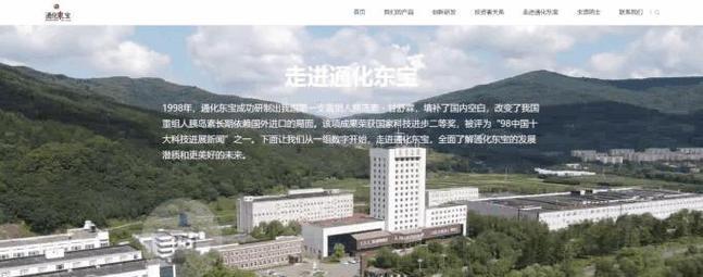 东宝seo优化方案有哪些?它们的效果如何? 东宝seo优化方案有哪些?它们的效果如何?