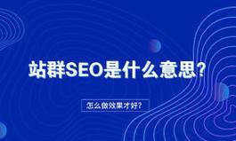 SEO的作用与效果（客观认识SEO在网站推广中的重要性）