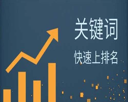 网站对于SEO排名优化的重要性(如何运用优化网站) 网站对于SEO排名优化的重要性(如何运用优化网站)