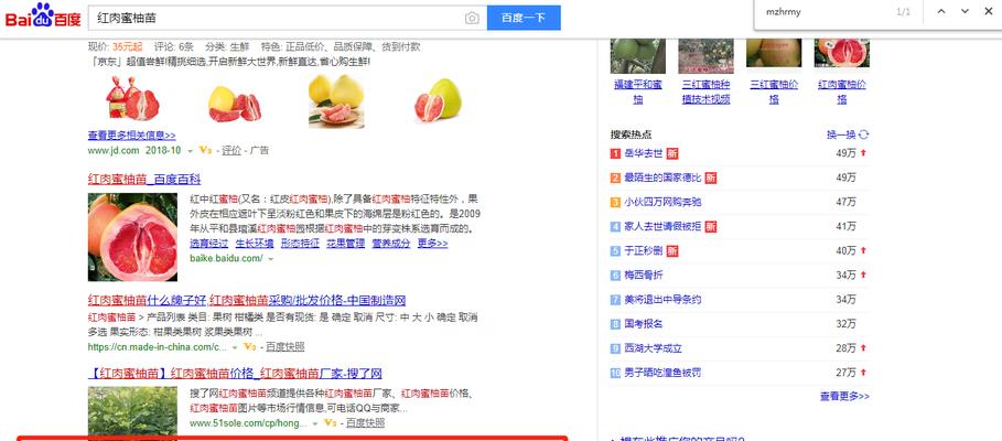 百度排名起伏的原因和解决方法(如何应对百度排名的波动) 百度排名起伏的原因和解决方法(如何应对百度排名的波动)