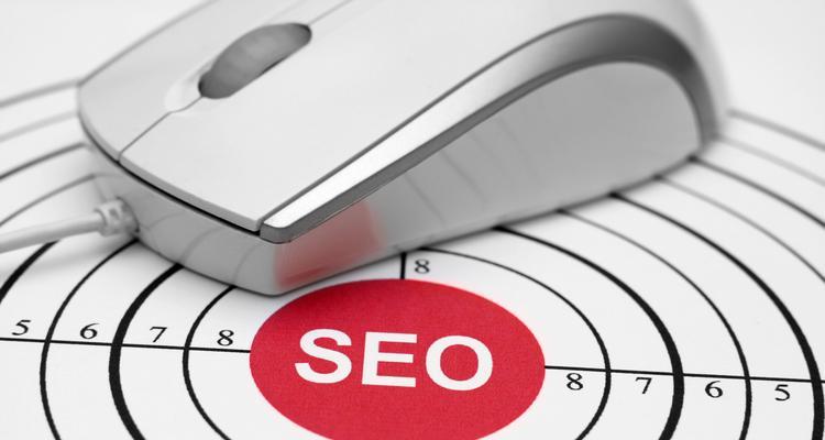 SEO优化的重要性(为什么每个网站都需要SEO) SEO优化的重要性(为什么每个网站都需要SEO)